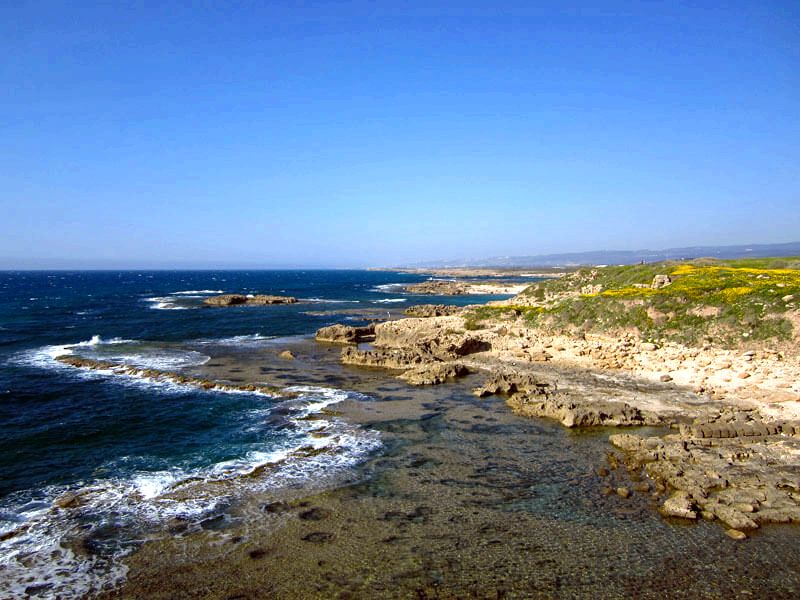 החופים היפים ביותר במדינה החופים היפים ביותר במדינה