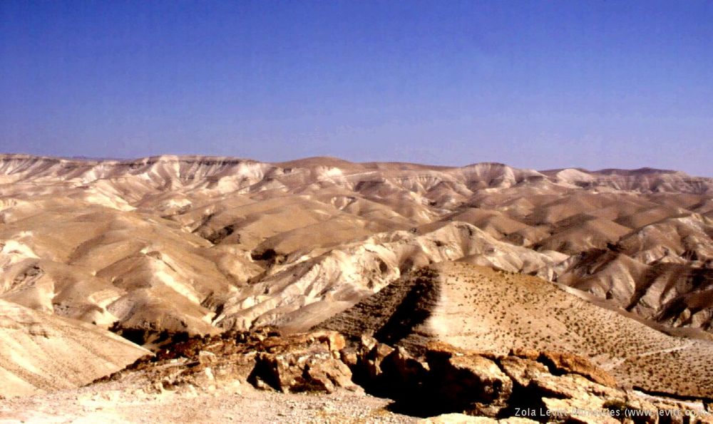 מדבר יהודה: מסע בהיסטוריה מדבר יהודה: מסע בהיסטוריה